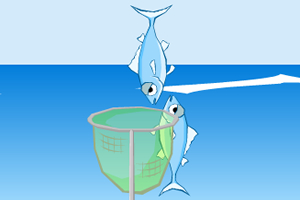 海边捉鱼