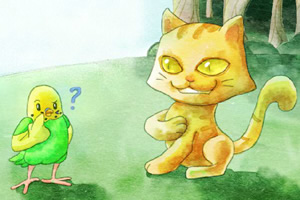 乐汐遇见猫