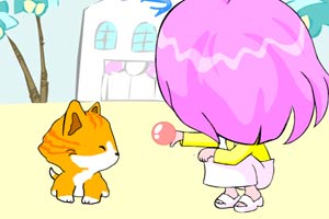 猫的训练