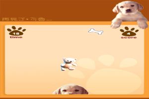 导盲犬克鲁