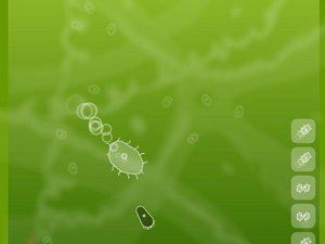  浮游生物