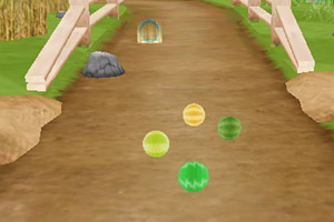 西瓜赛跑