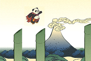 飞扬的阿宝