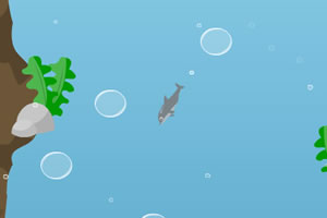 海豚潜水