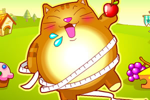 贪吃小胖猫