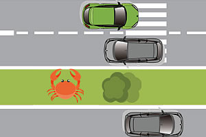 螃蟹走马路