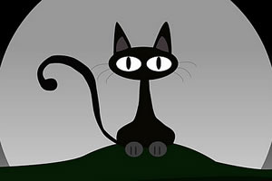 找出那只猫