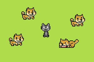 功夫猫