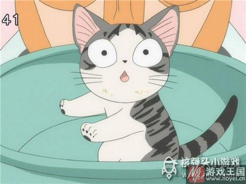 就问你萌不萌？《猫猫瑜伽》猫猫驾到