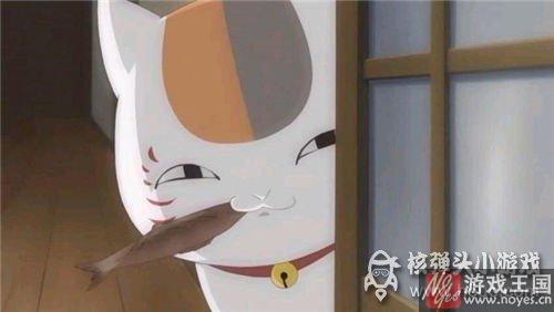 就问你萌不萌？《猫猫瑜伽》猫猫驾到