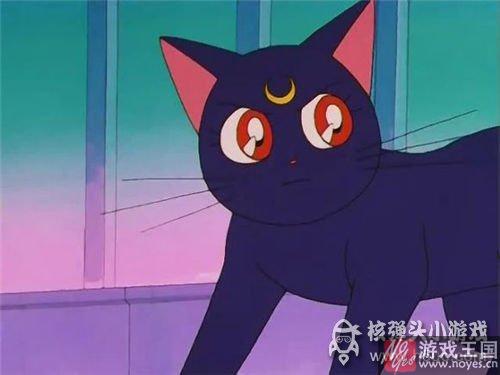 就问你萌不萌？《猫猫瑜伽》猫猫驾到