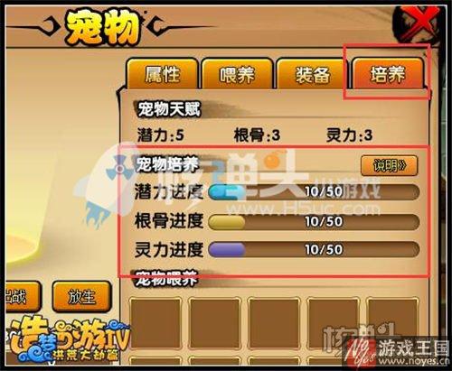 需要什么样材料？造梦西游4彩凤鸡咋超进化