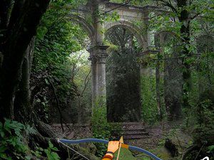 雨林射箭