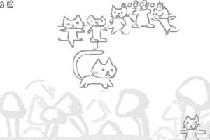 飞机猫