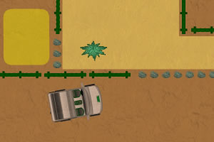 沙漠停车