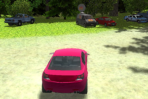 酒后停车2