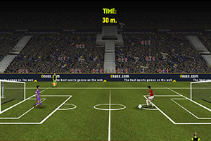 2014南美解放者杯