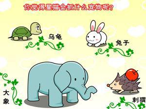 星猫大冒险4