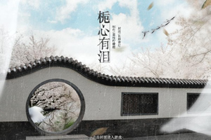 栀心有泪