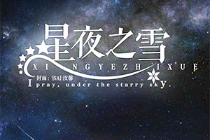 星夜之雪