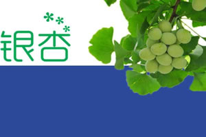 银杏