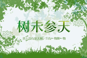 树未参天