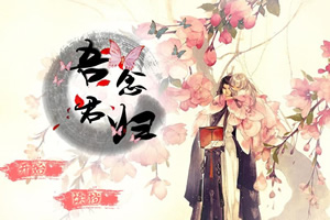 吾念君归