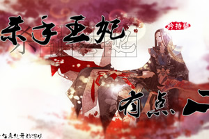 杀手王妃有点二