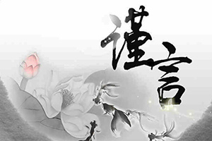 谨言