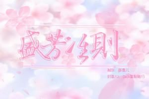盛芳准则