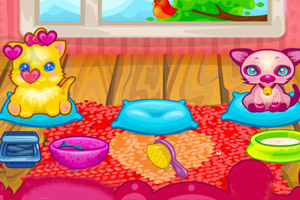 照顾可爱的小猫咪