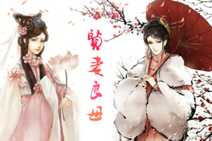 贤妻良母