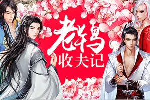 老鸨收夫记