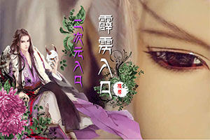 兰陵王妃