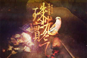 穿越之珠光宝气