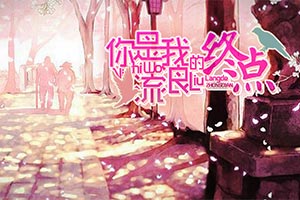 你是我流浪的终点