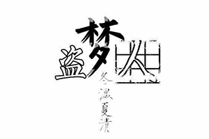 盗梦人