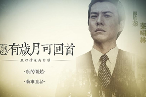 愿有岁月可回首