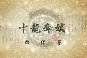 十龙夺嫡