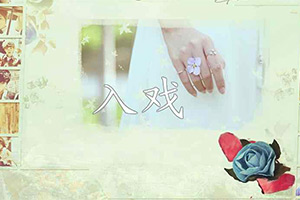 入戏