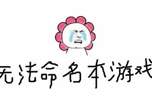 无法命名本游戏