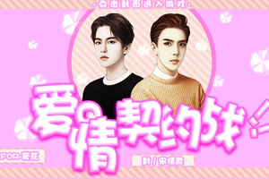 爱情契约战