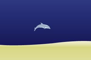 海豚奥运会