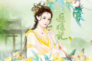 追婚记