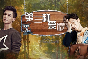第三种爱情