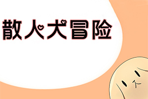 散人大冒险