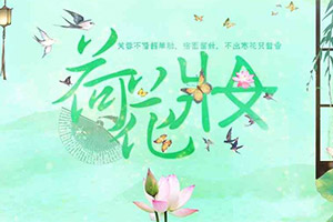 荷花妆