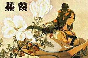 蒹葭