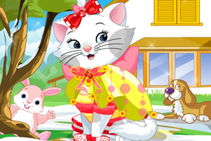 小花猫也爱美