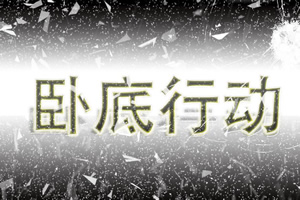 卧底行动